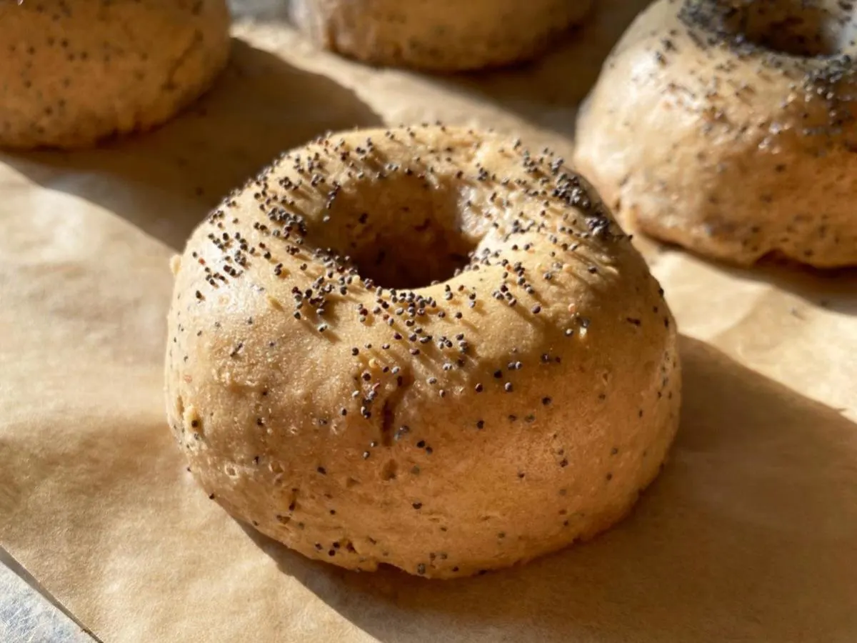 Poppy Seed Bagel Poppy Seed Bagel