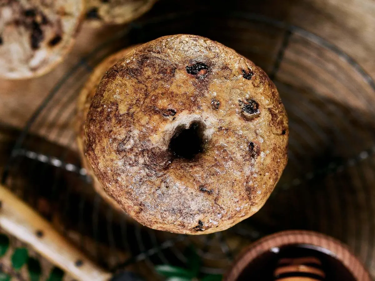 Raisin Bagel Raisin Bagel