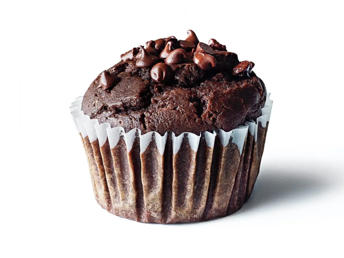 Chocolate Muffin Chocolate Muffin