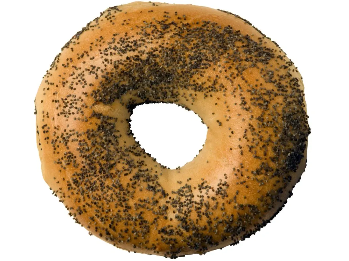 Poppy Seed Bagel Poppy Seed Bagel