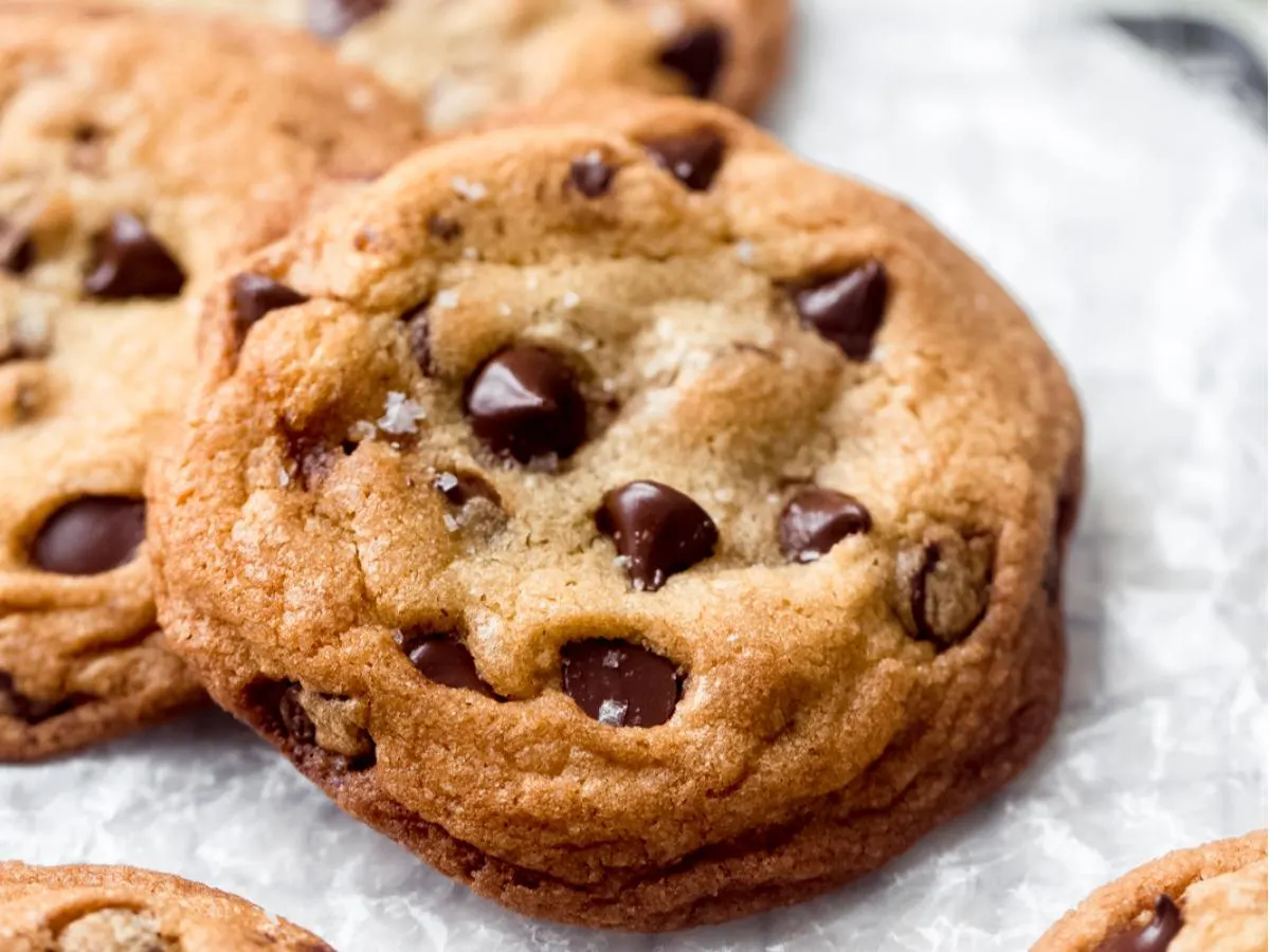 Freshly Baked Chocolate Chip Cookie