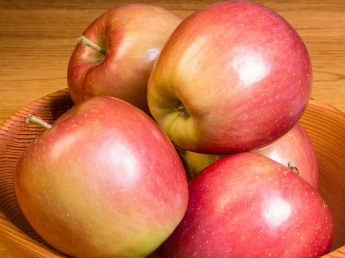 Fuji Apples