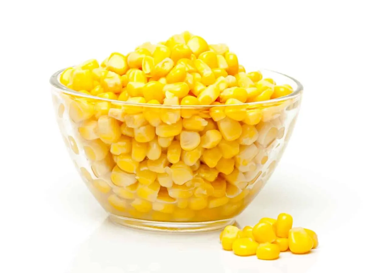 Corn Corn