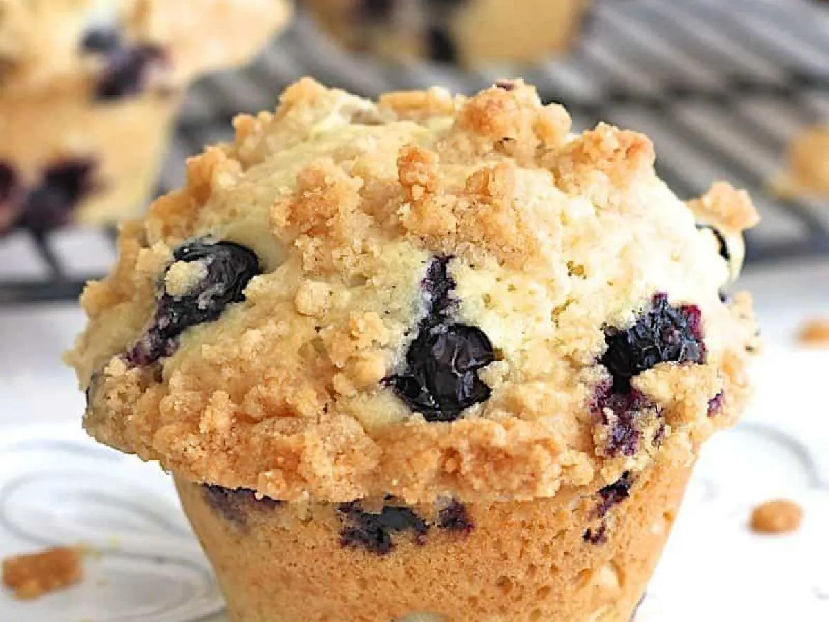 Wild Blueberry Muffin Wild Blueberry Muffin