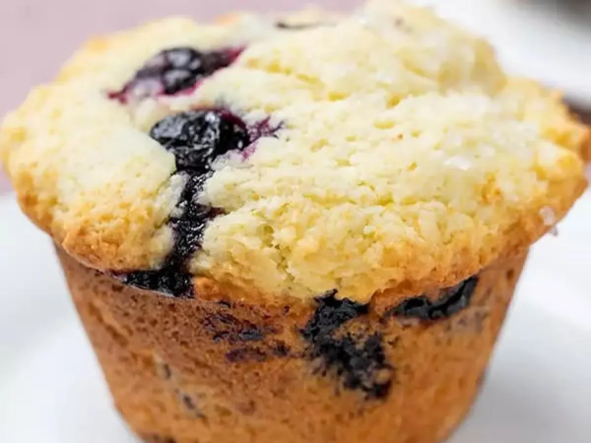 GF Wild Blueberry Muffin GF Wild Blueberry Muffin