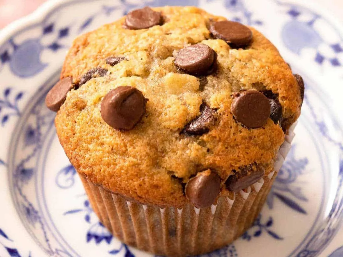 Vegan Banana Chocolate Chip Muffin Vegan Banana Chocolate Chip Muffin