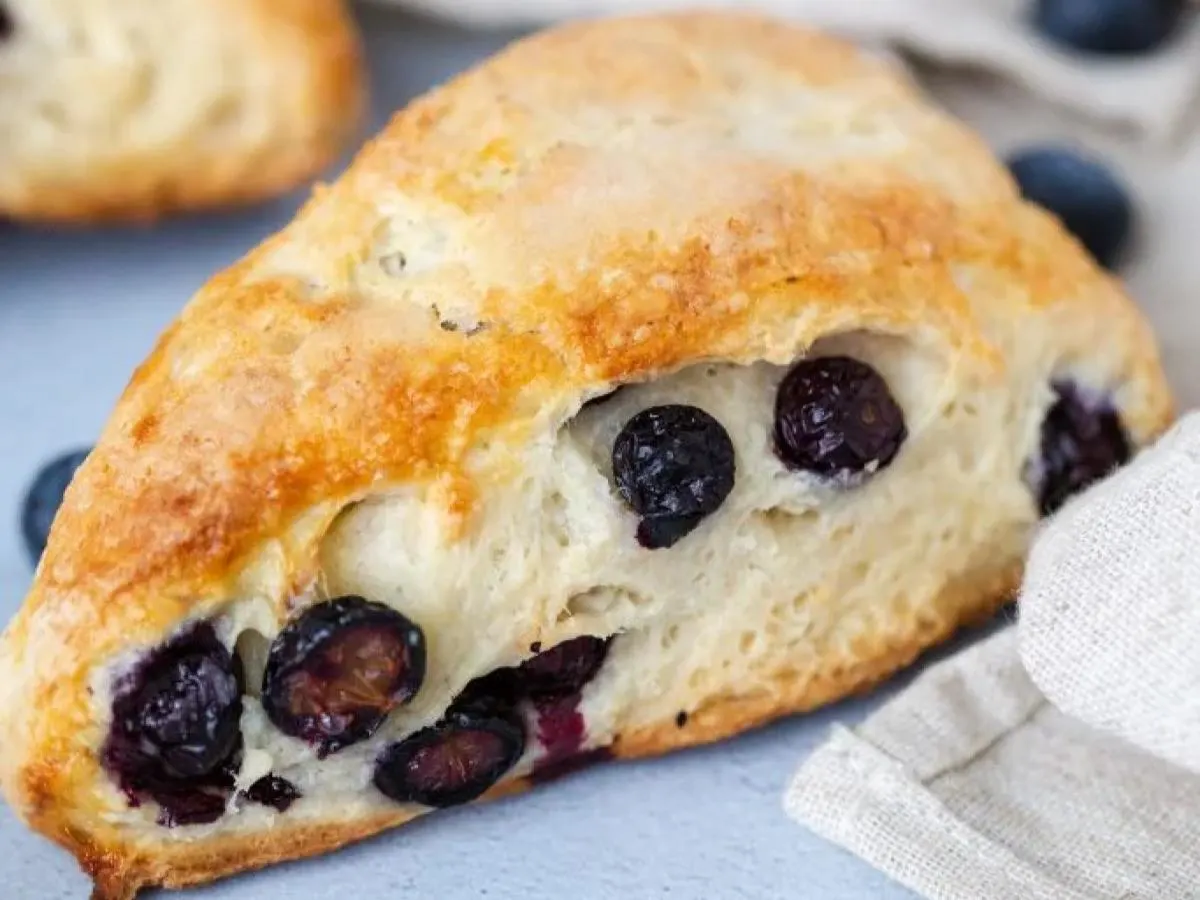 Blueberry Scone Blueberry Scone