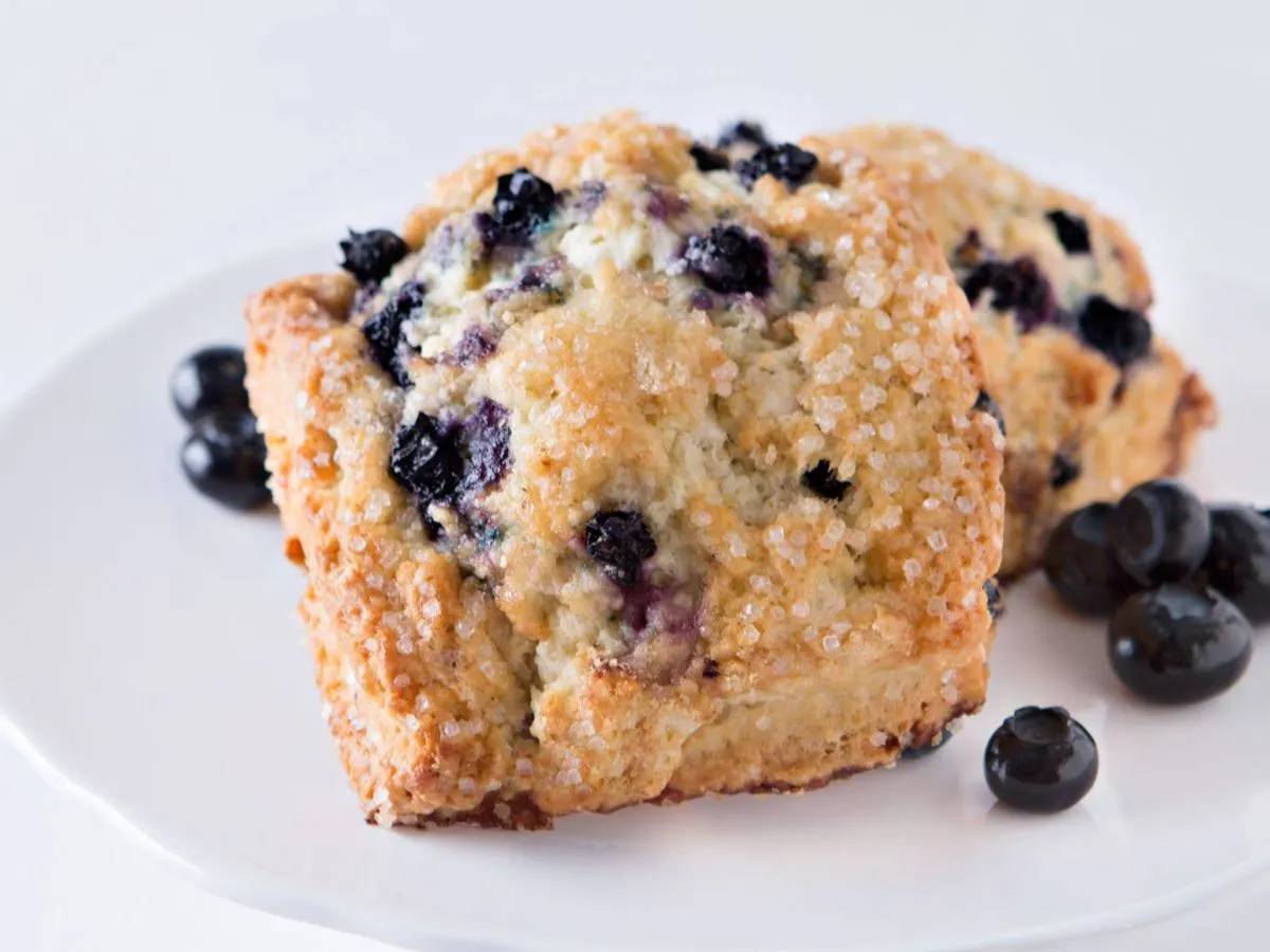 Individually Packaged: Blueberry Scone Individually Packaged: Blueberry Scone