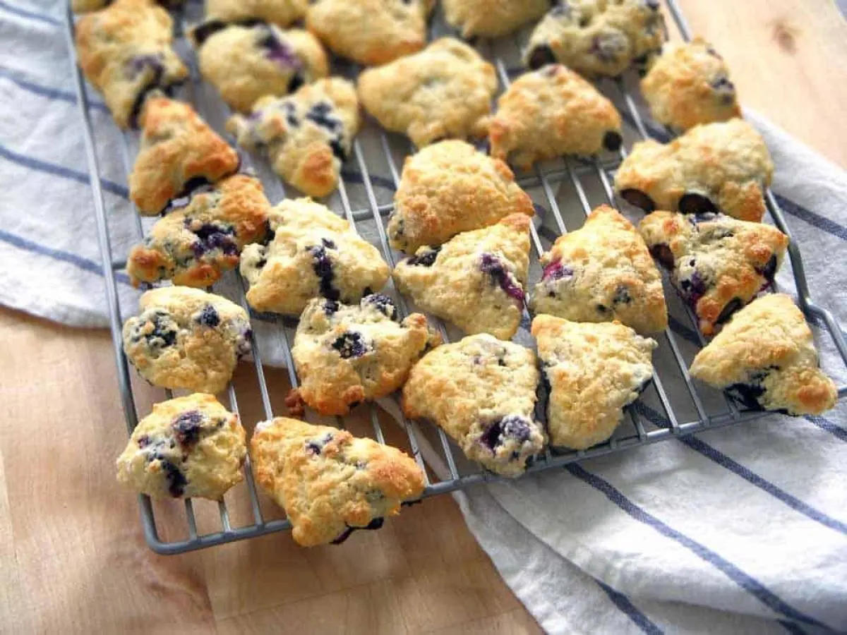 Individually Packaged: Mini Blueberry Scone Individually Packaged: Mini Blueberry Scone