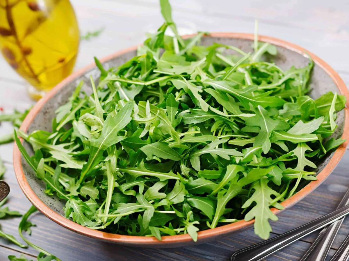 Arugula Arugula