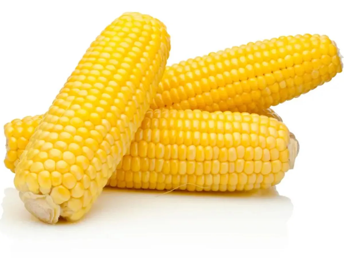 Corn