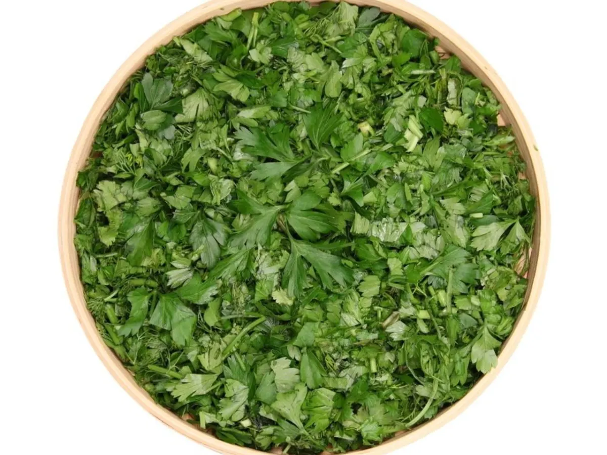 Fresh Cilantro Fresh Cilantro
