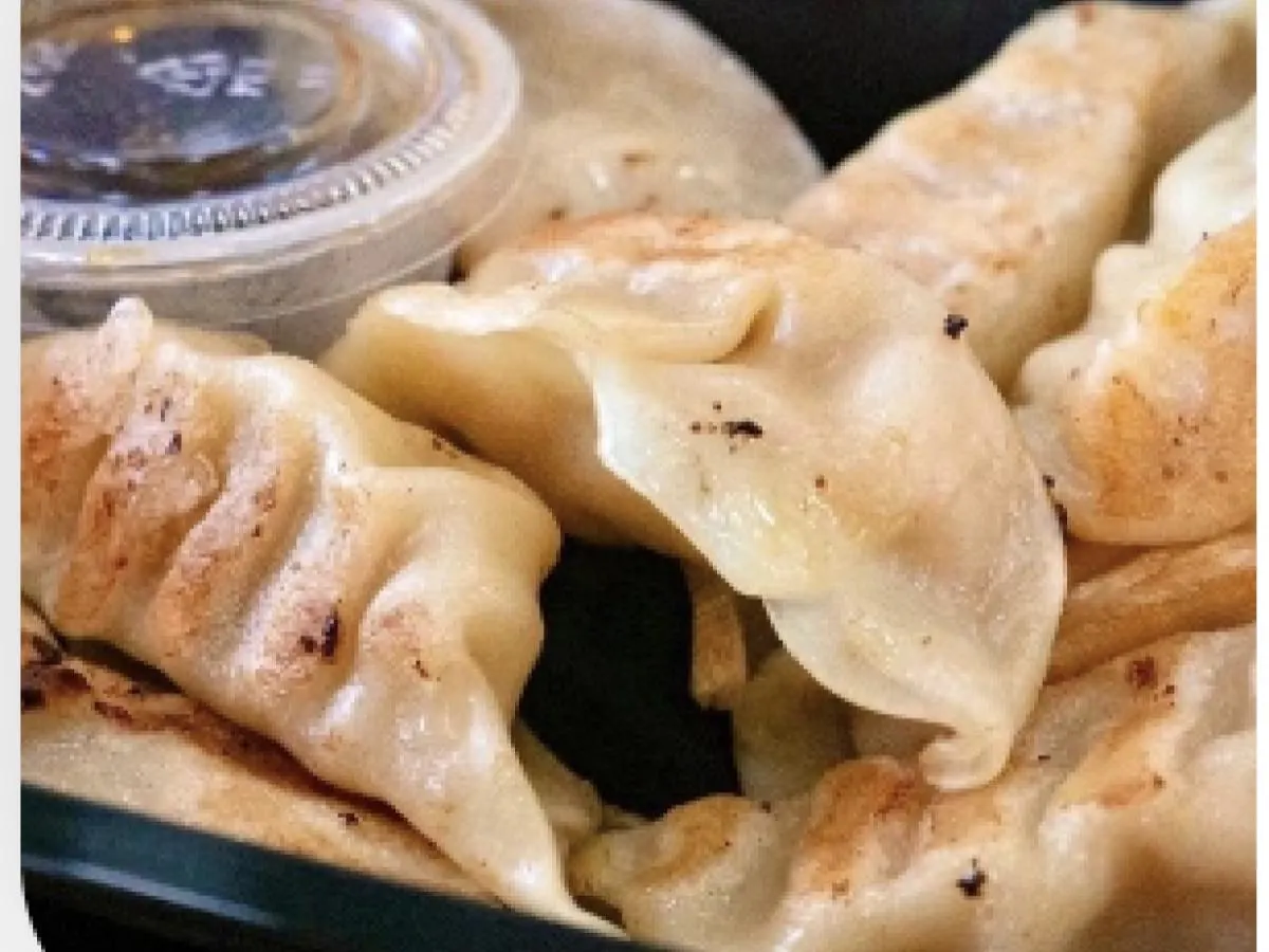 Chicken and Vegetable Dumplings Chicken and Vegetable Dumplings