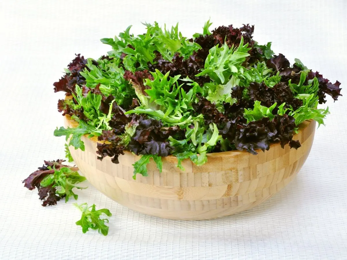 Spring Mix Spring Mix