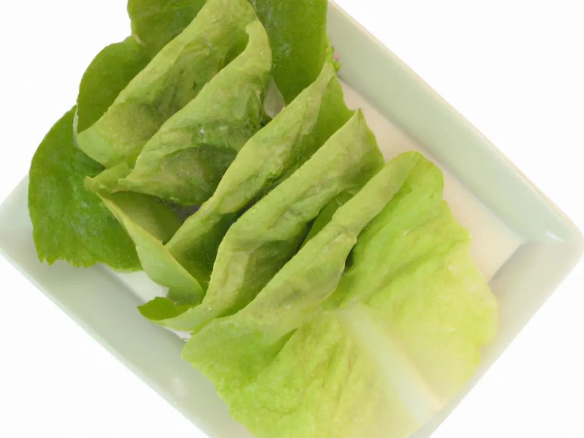 Lettuce Cup Lettuce Cup
