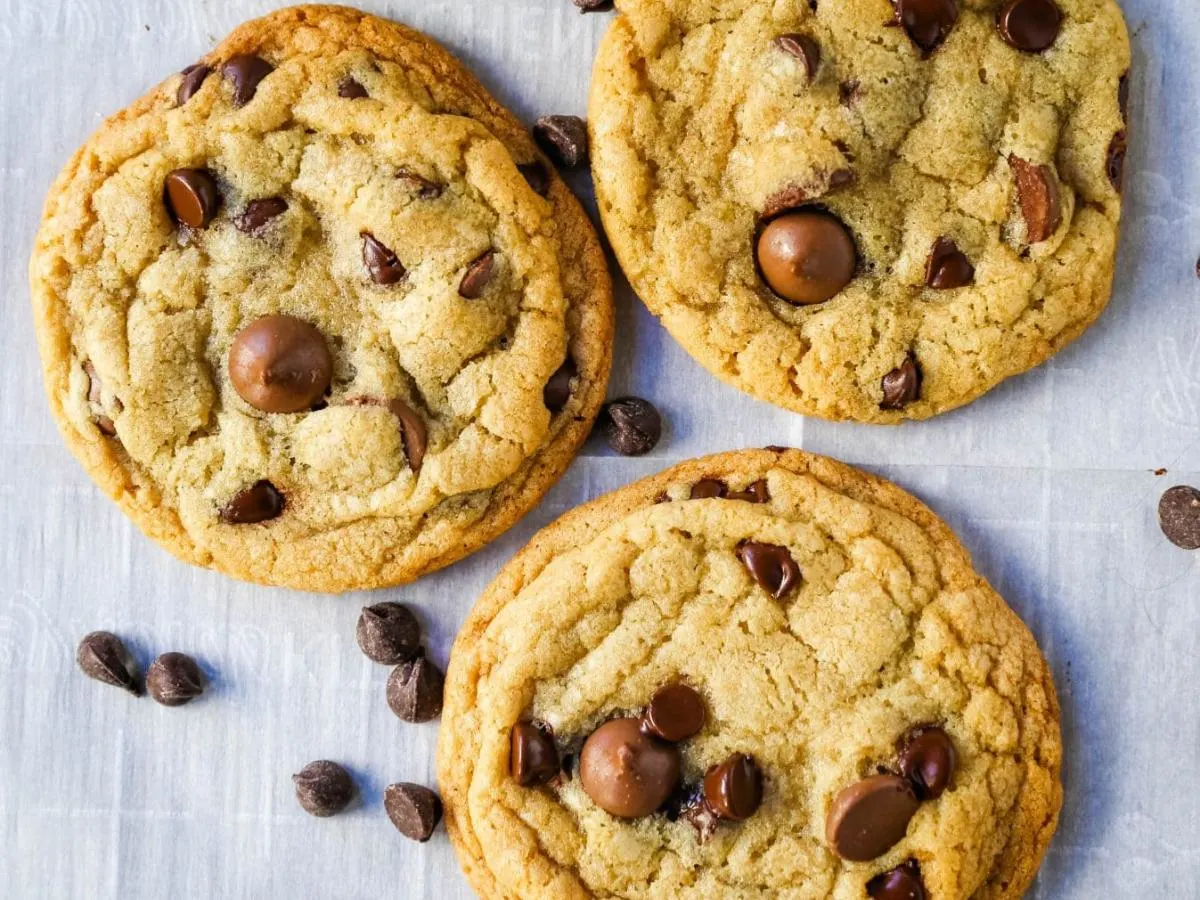 Chocolate Chip Cookie Chocolate Chip Cookie