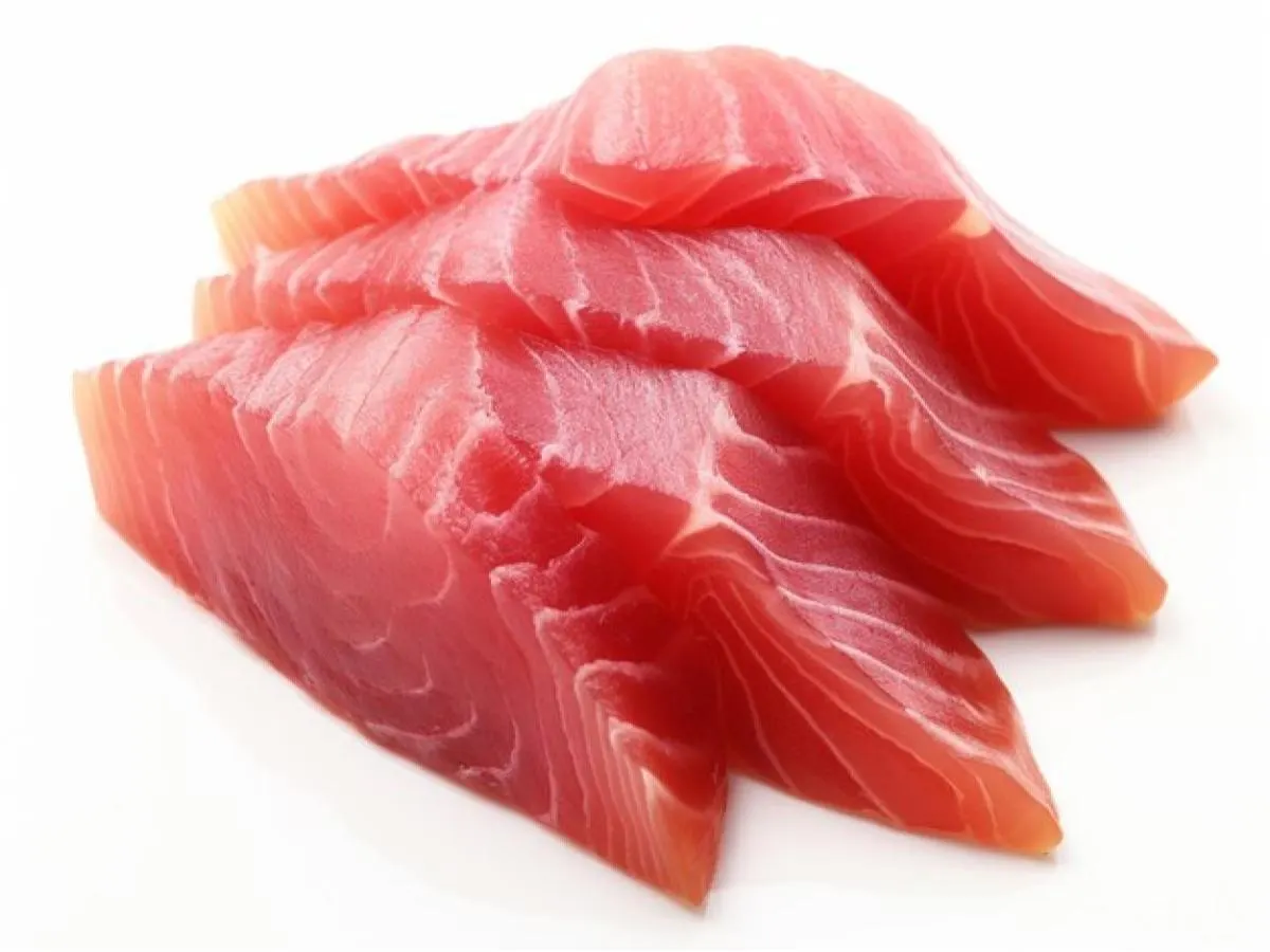 Bluefin Tuna Bluefin Tuna