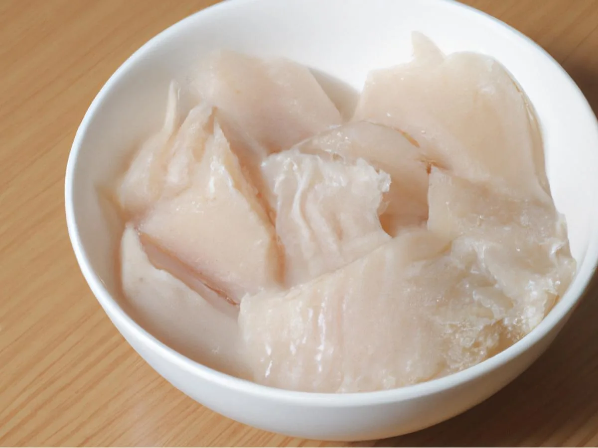 Albacore Albacore