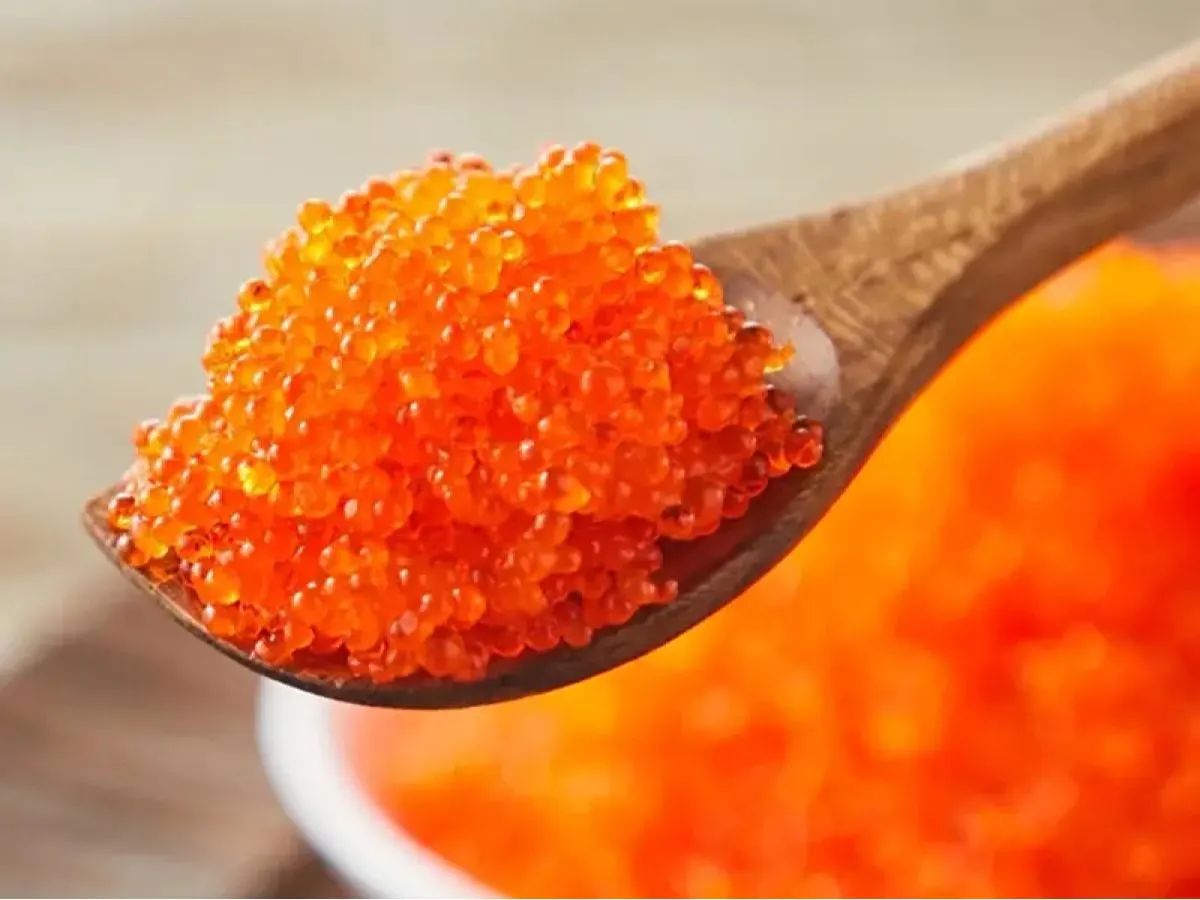 Flying Fish Roe Flying Fish Roe