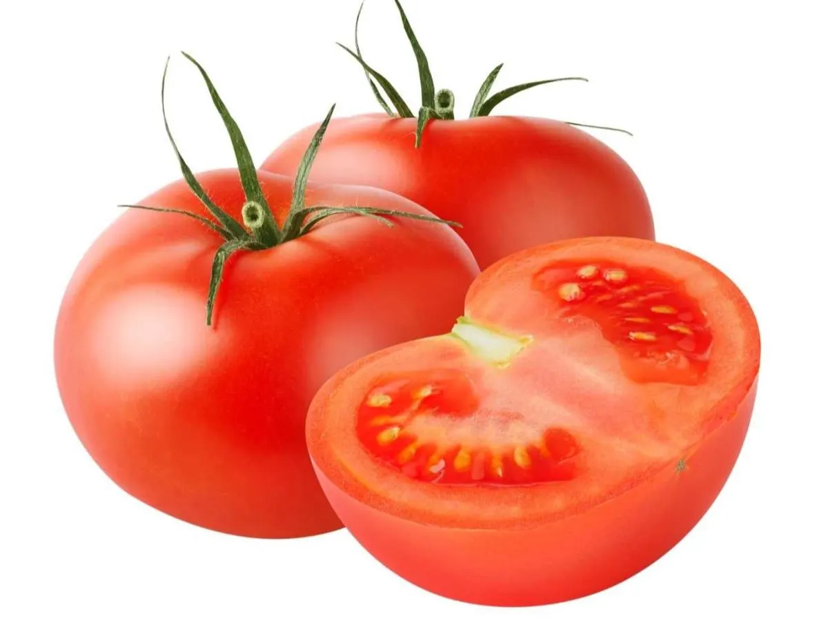 Tomatoes Tomatoes