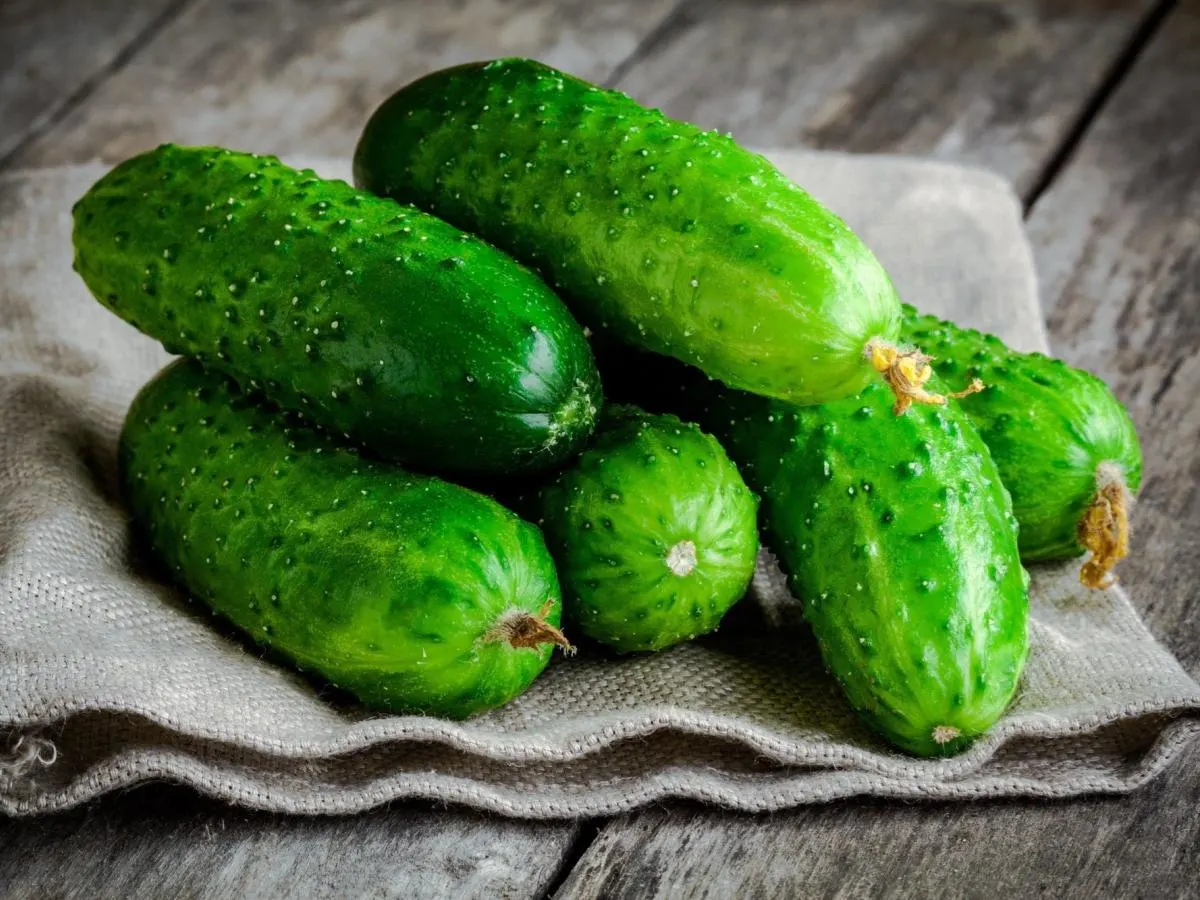 Cucumbers Cucumbers