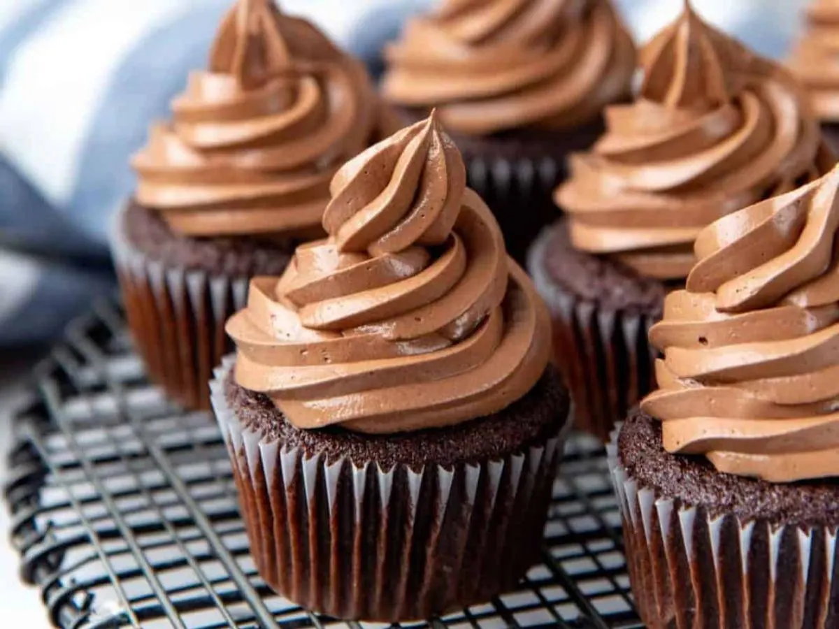Chocolate Cupcake Chocolate Cupcake