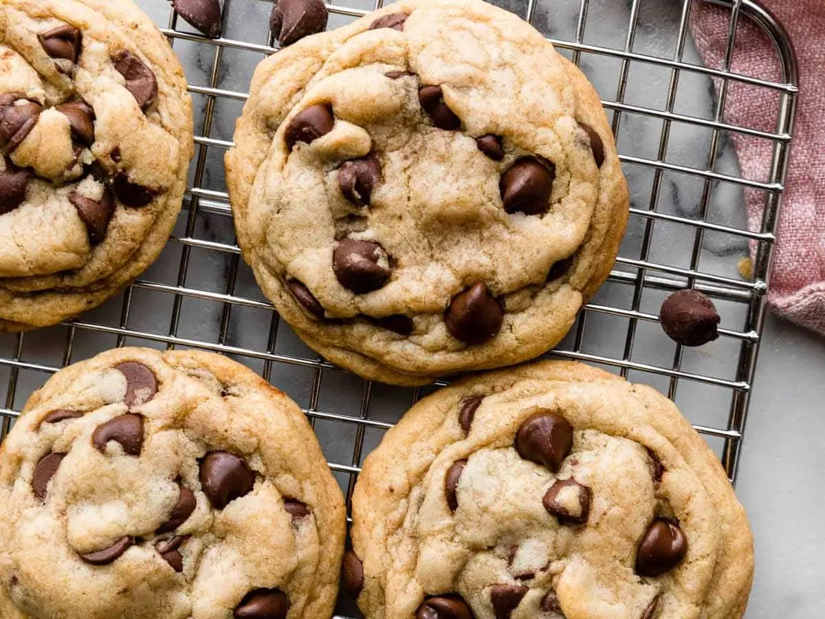 Logo - Chocolate Chip Logo - Chocolate Chip