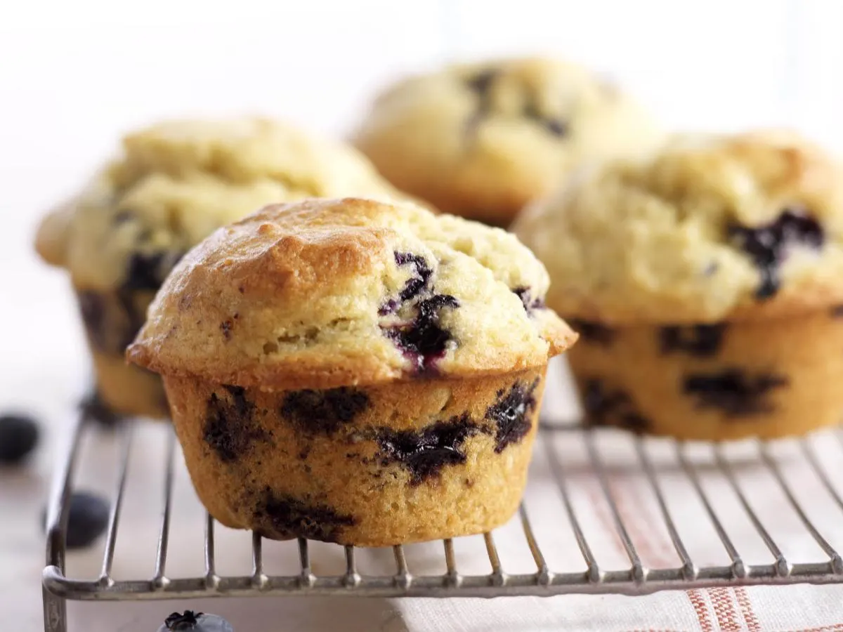 Blueberry Muffin (Gluten Free) Blueberry Muffin (Gluten Free)