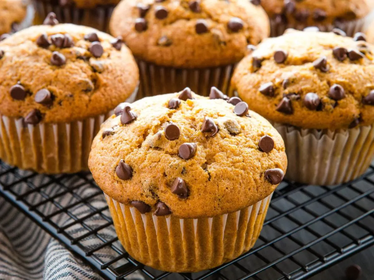 Choco-Chip Muffin Choco-Chip Muffin