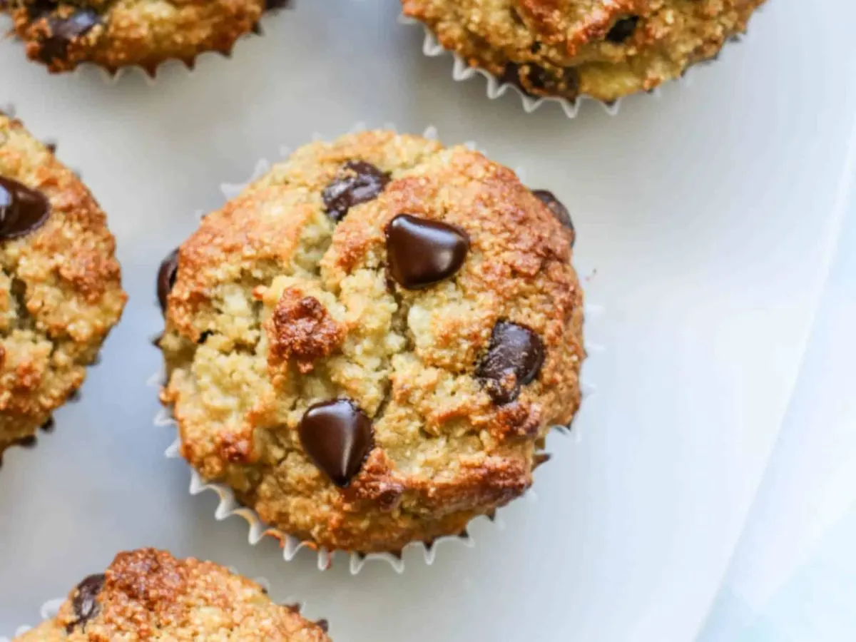Choco-Chip Muffin (Gluten Free) Choco-Chip Muffin (Gluten Free)