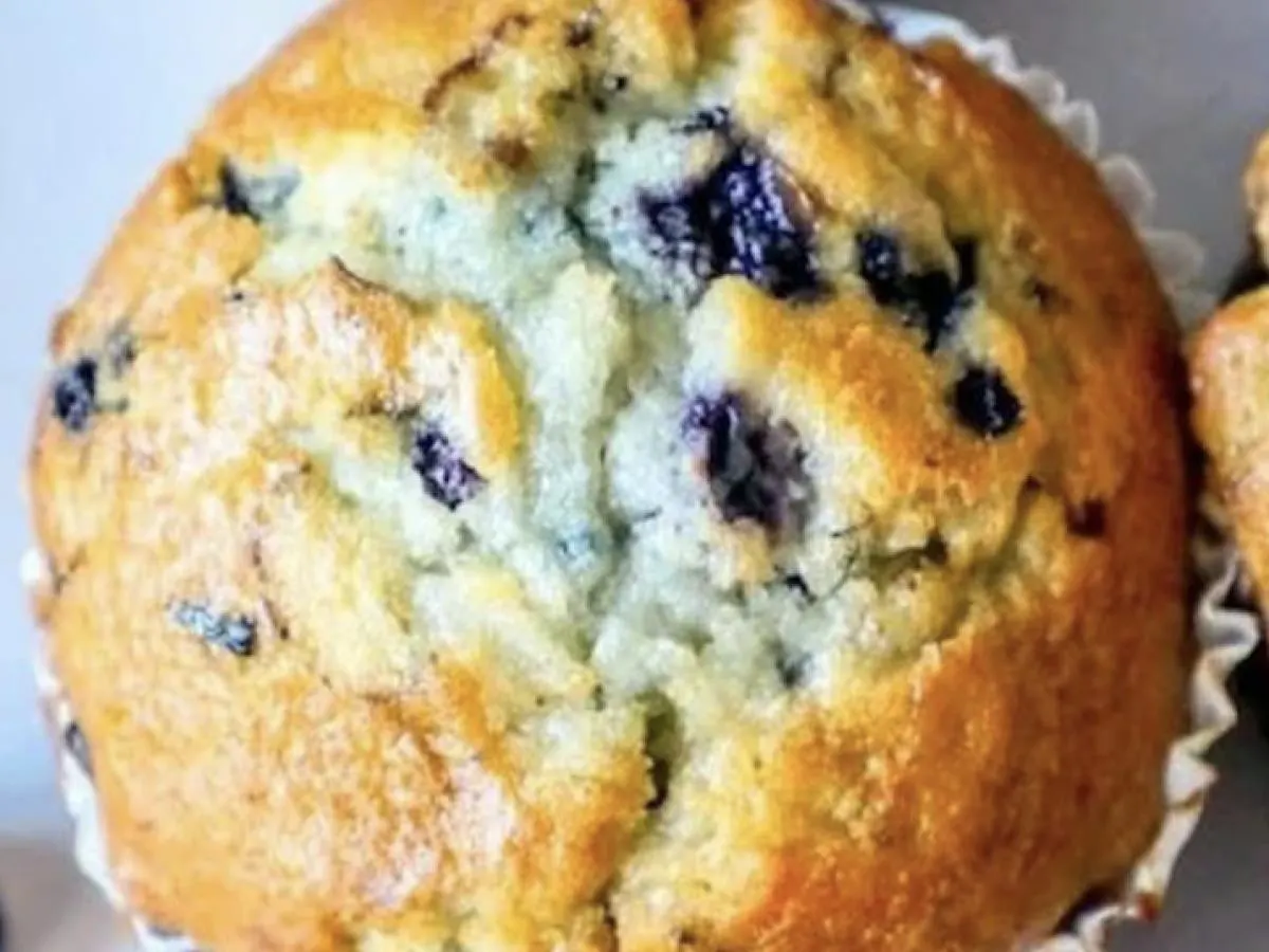 Blueberry Muffin