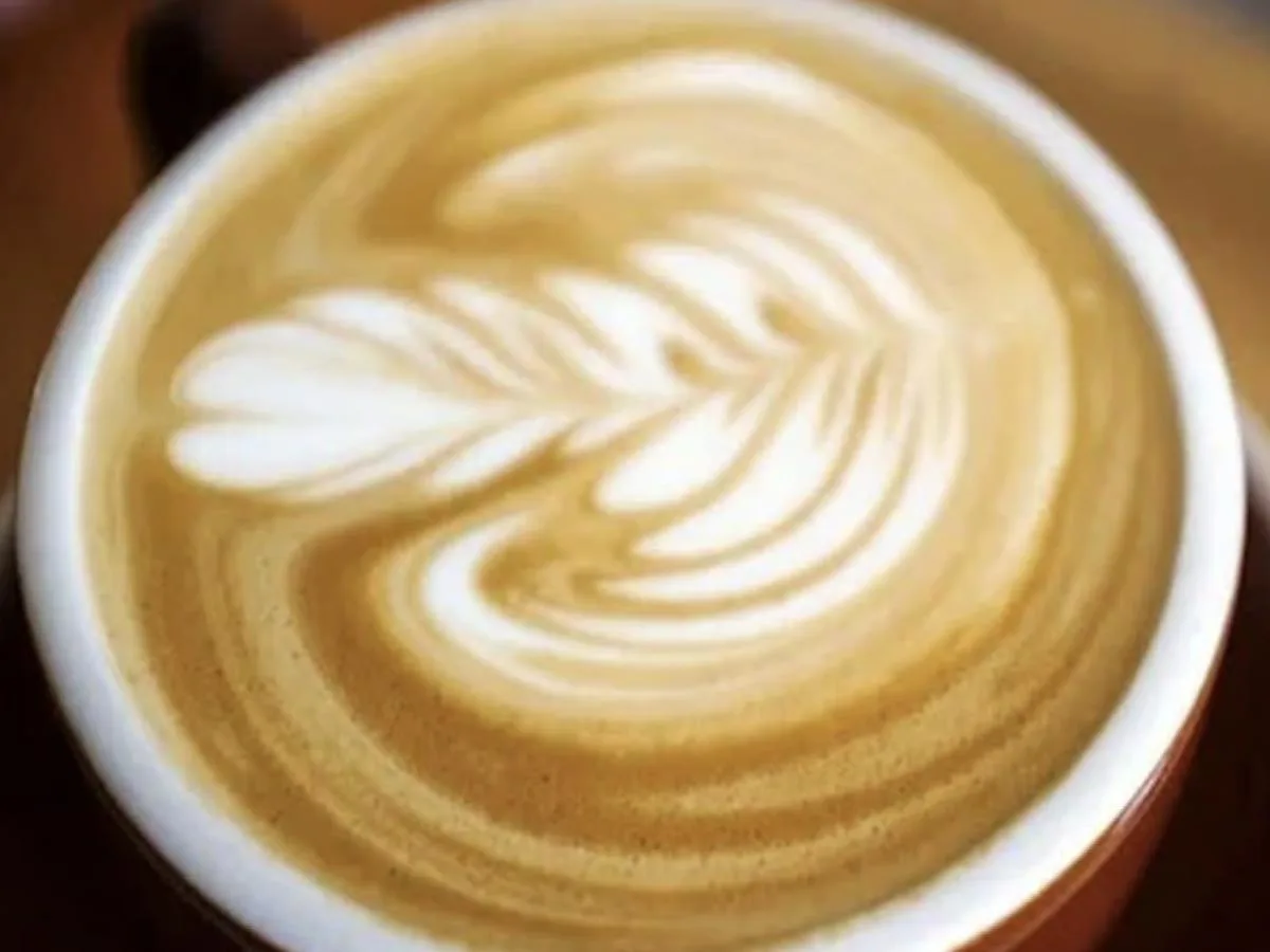 Regular Hot Latte