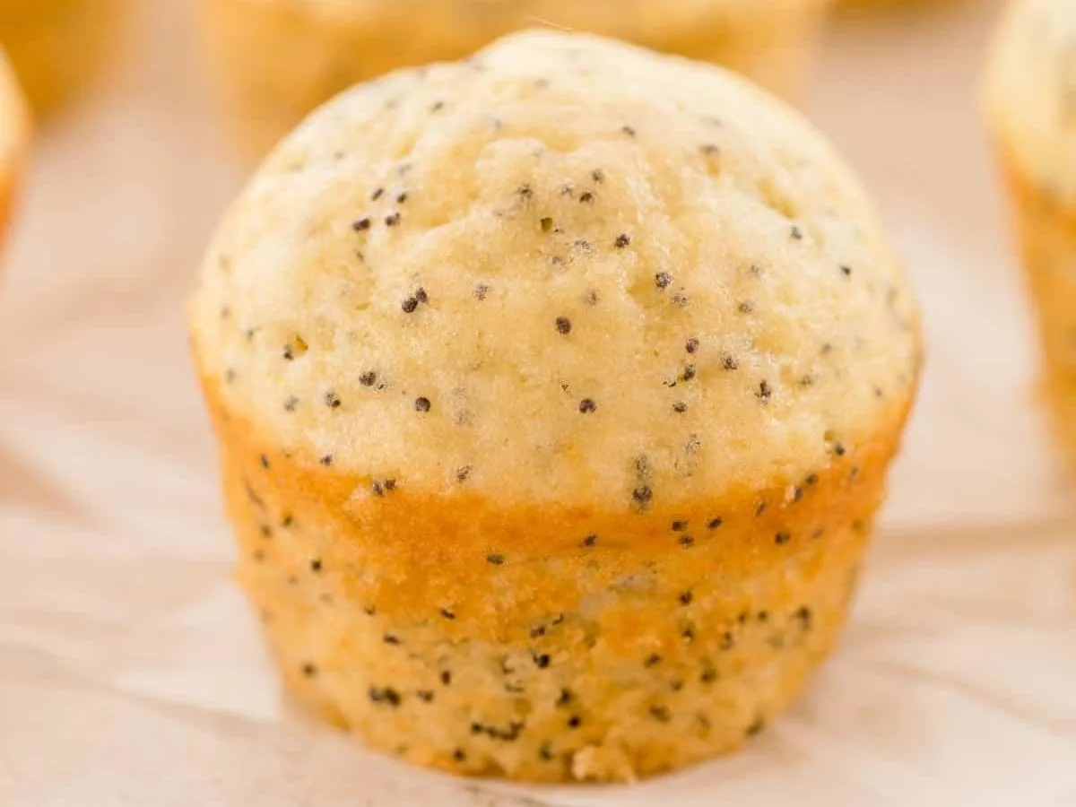 Almond Poppyseed Muffin