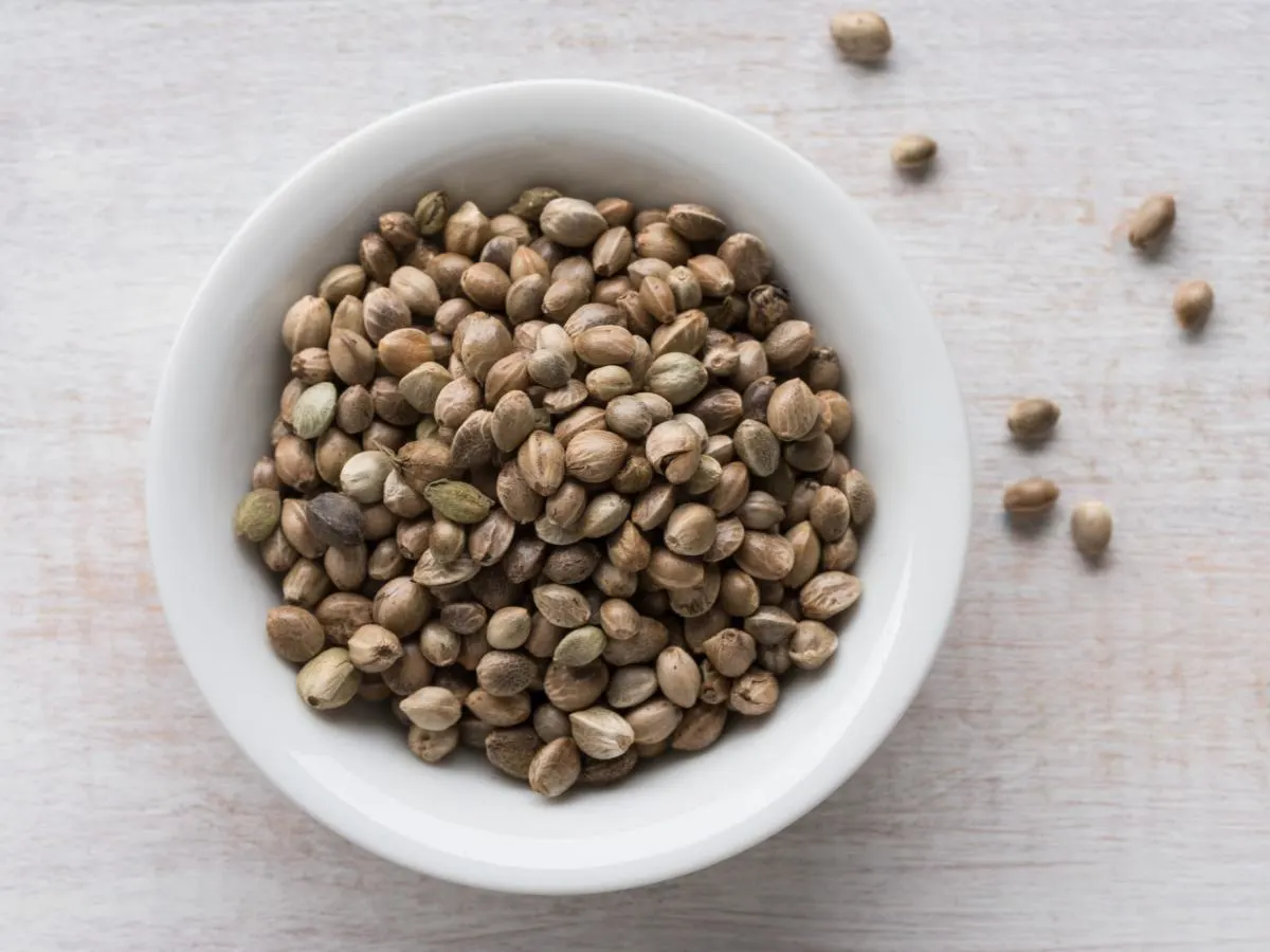 Hemp Seeds Hemp Seeds