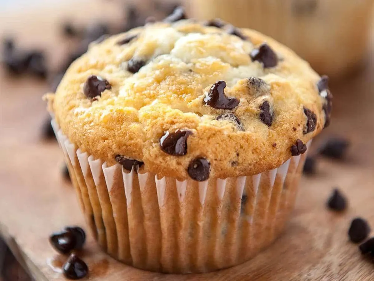 Chocolate Chip Muffin Chocolate Chip Muffin