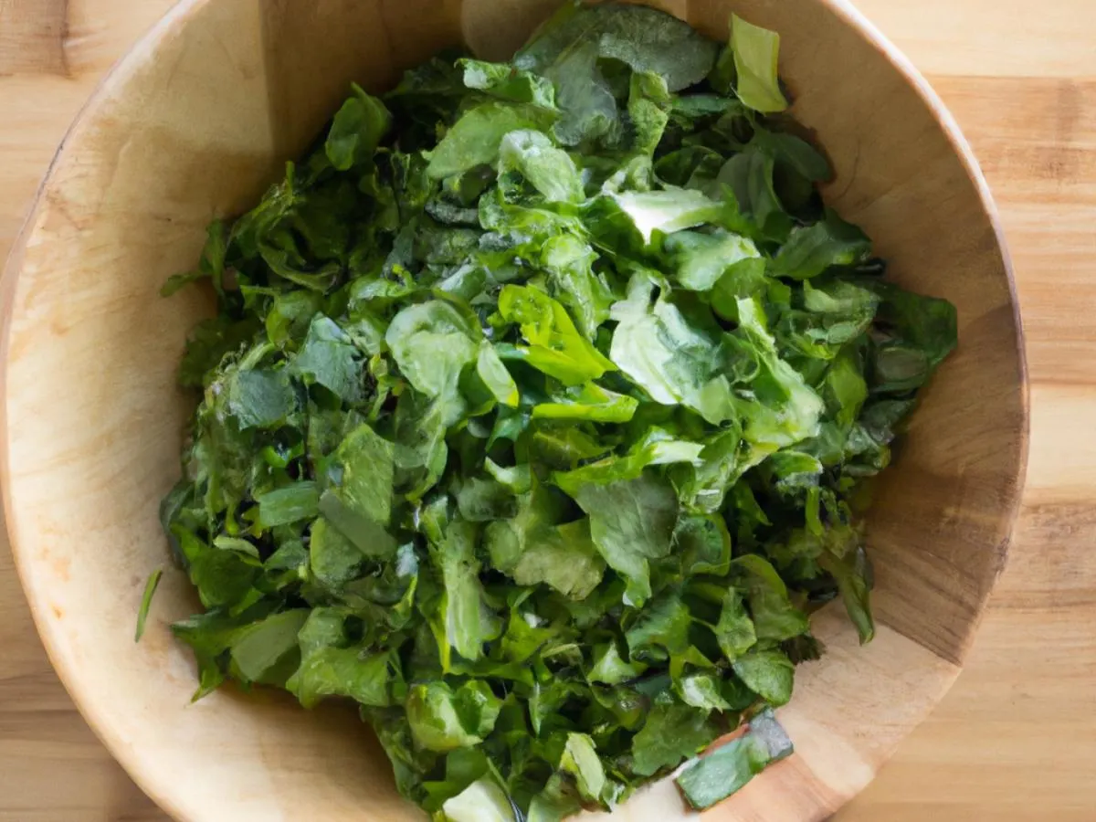 Cilantro Cilantro