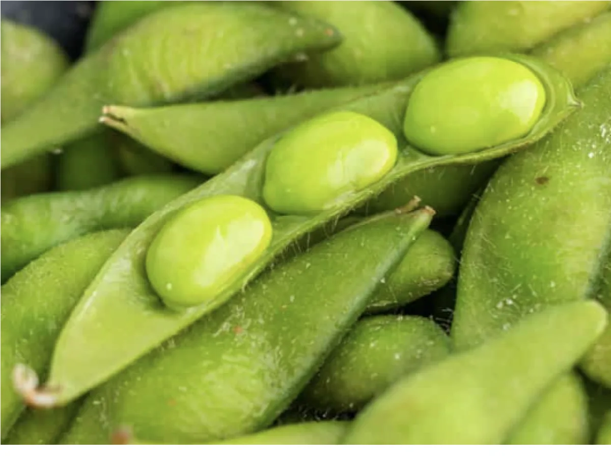 Edamame Edamame
