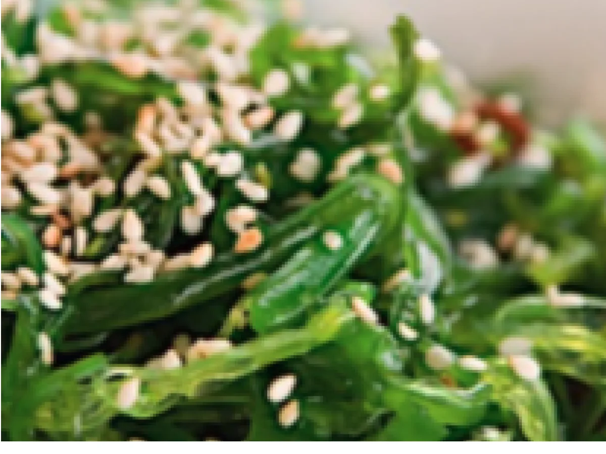 Seaweed Salad Seaweed Salad