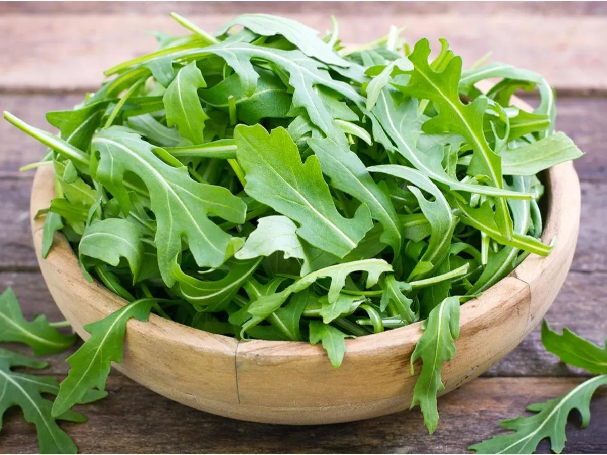 Arugula