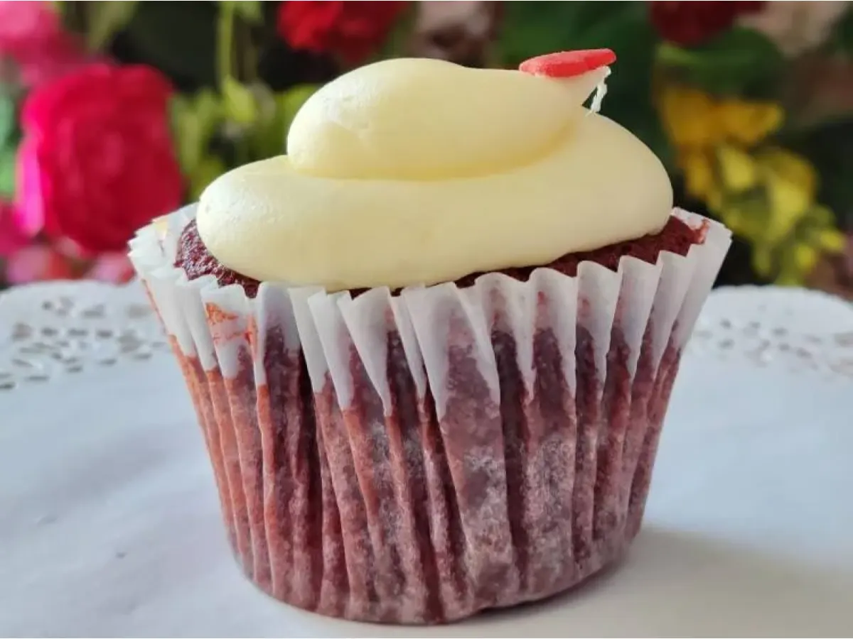 Angelina Cupcake