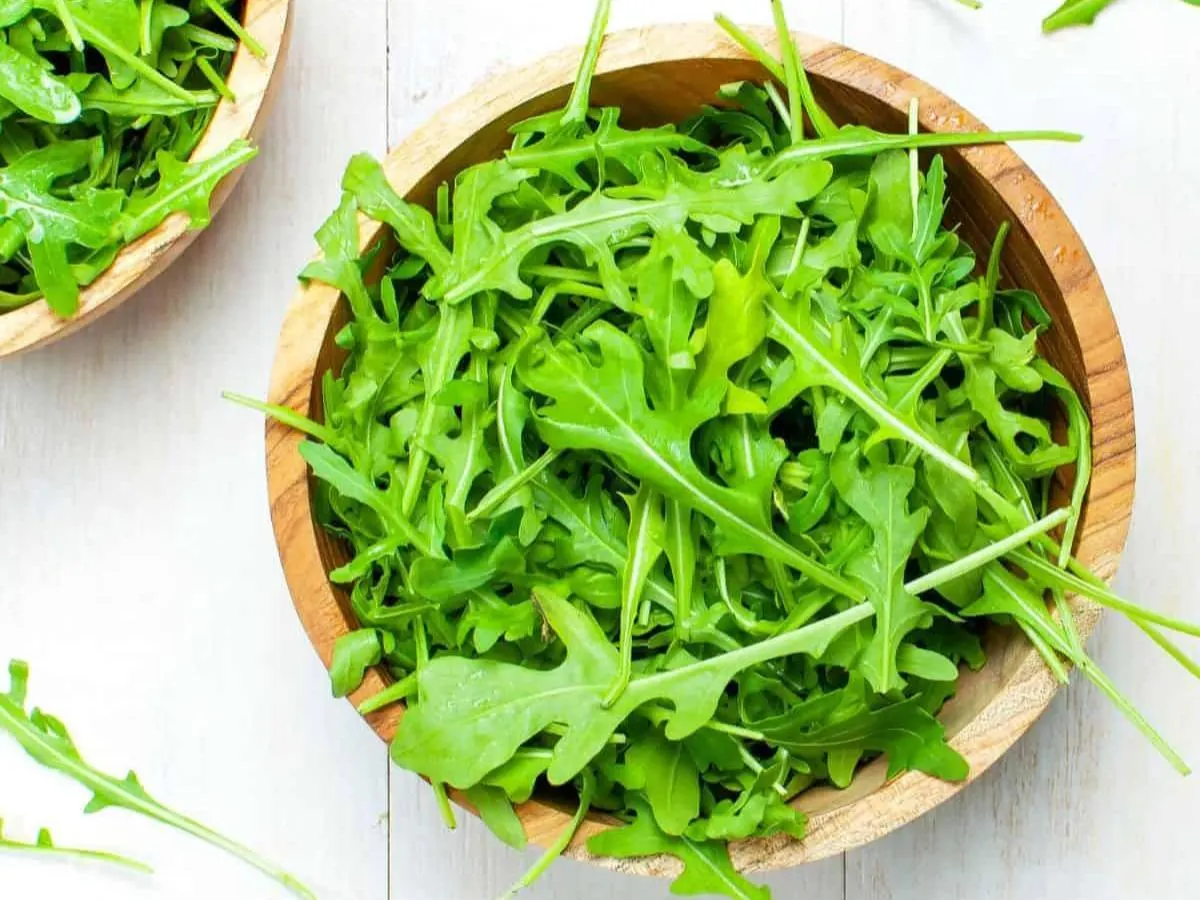 Arugula Arugula