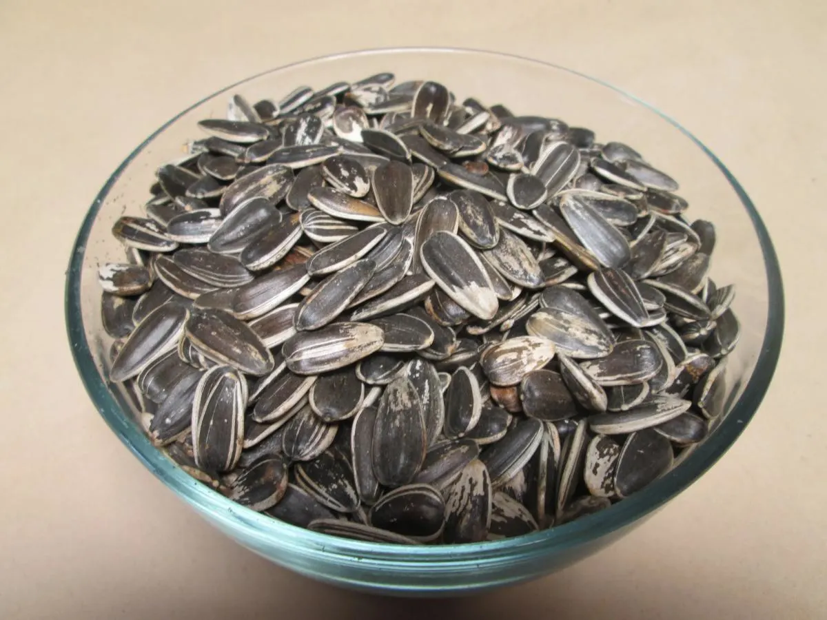 Sunflower Seeds Sunflower Seeds