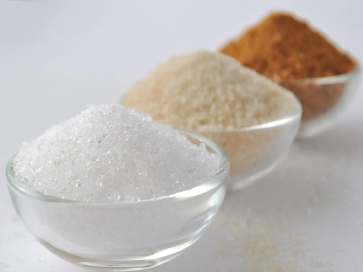 Sugar Substitute Sugar Substitute