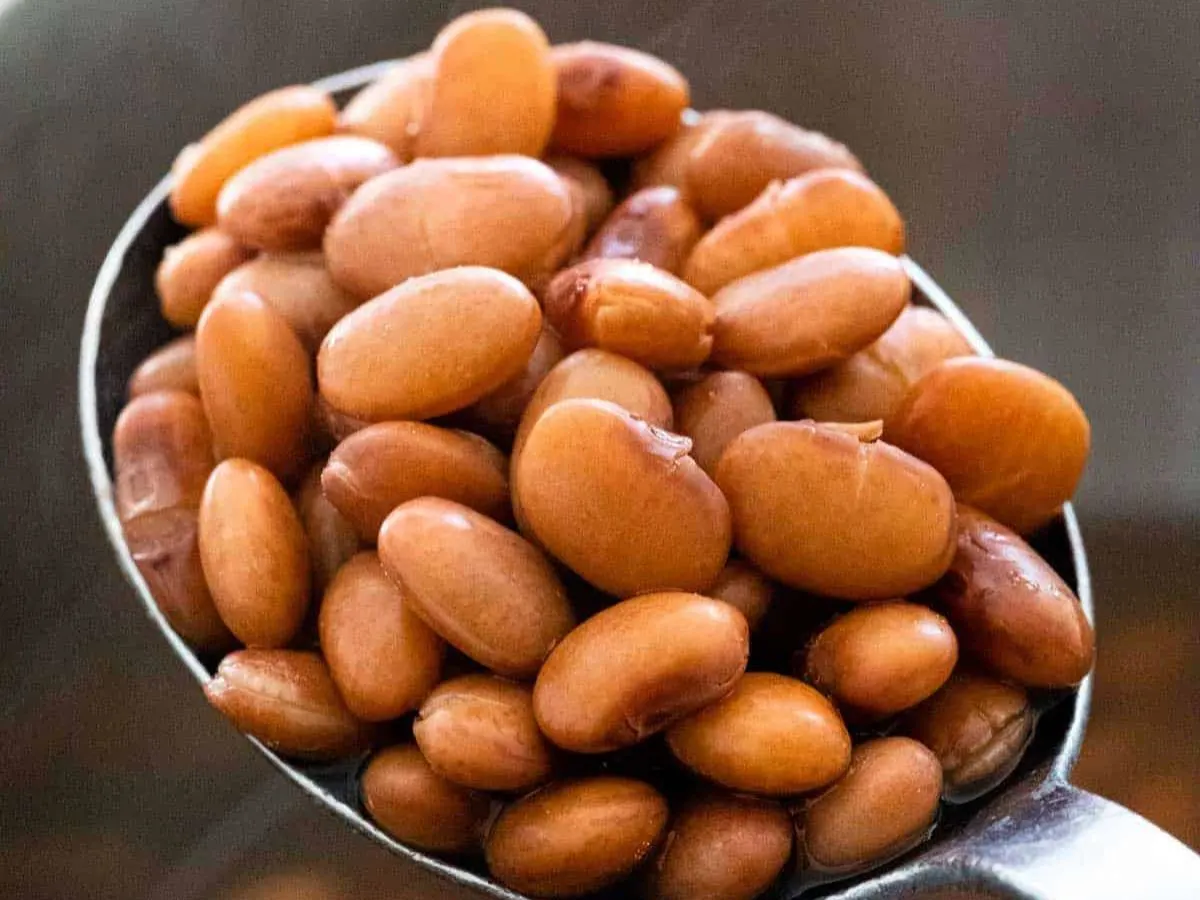 Pinto Beans
