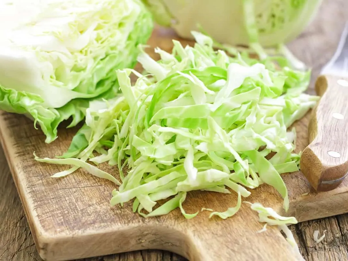 Cabbage