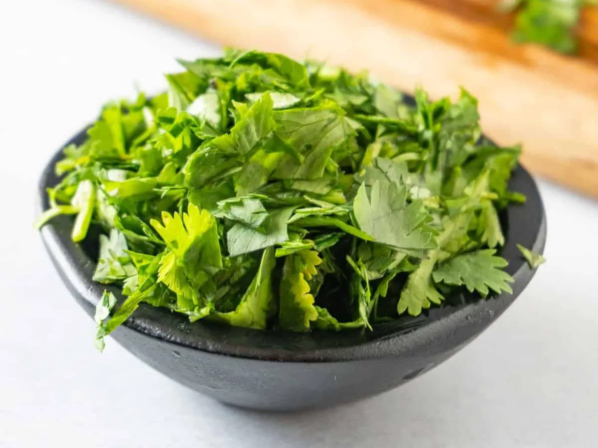 Cilantro