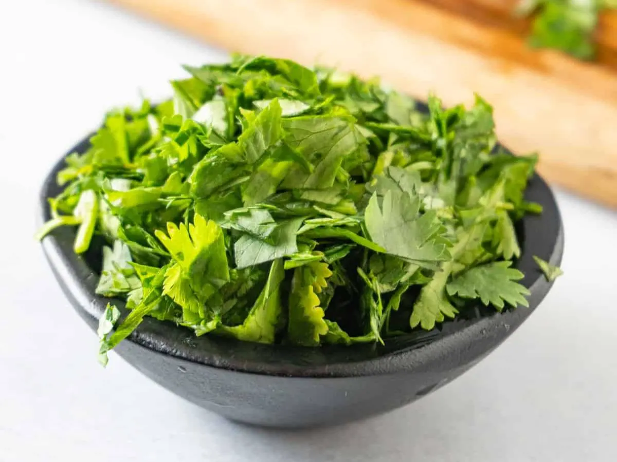 Cilantro Cilantro