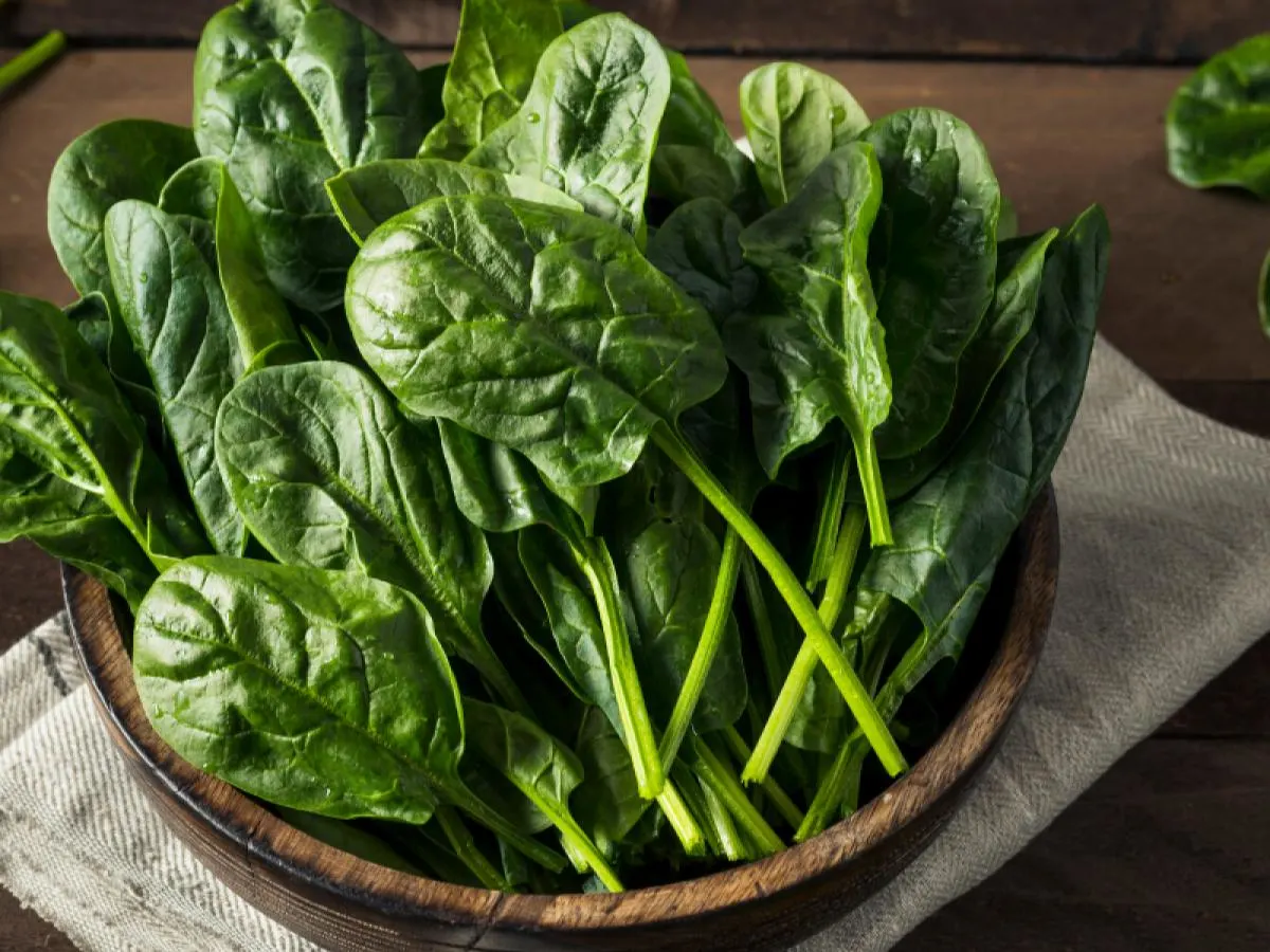 Spinach Spinach