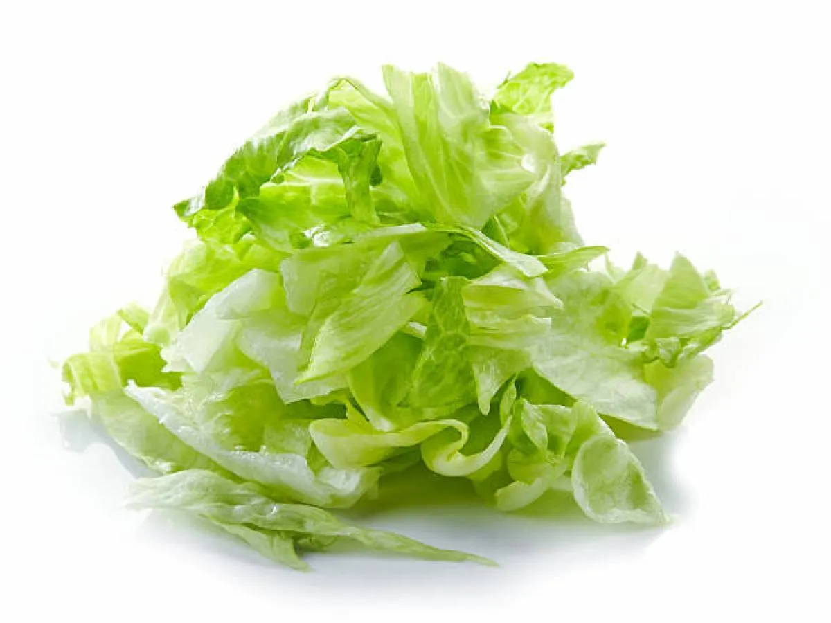 Iceberg Lettuce (Shredded) Iceberg Lettuce (Shredded)