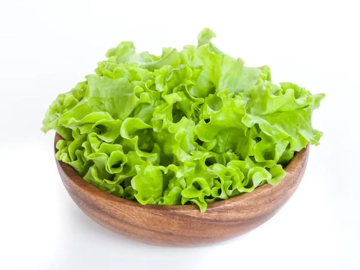 Lettuce Lettuce